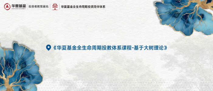 图片11